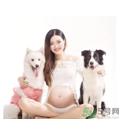 孕婦可以養(yǎng)狗嗎？養(yǎng)狗對(duì)孕婦有影響嗎？