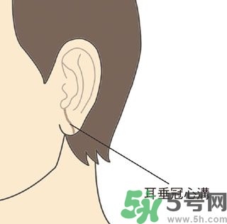 耳垂上有豎紋是怎么回事？山根有橫紋是什么??？