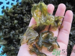地皮菜是發(fā)物嗎？地皮菜的功效與禁忌