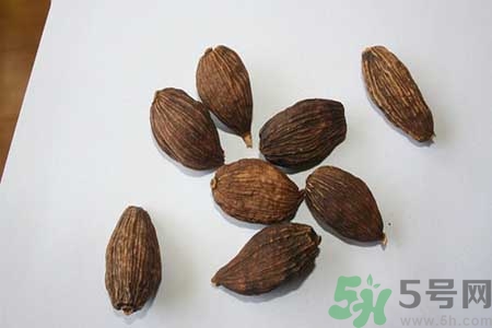 草果是什么？草果的功效與作用