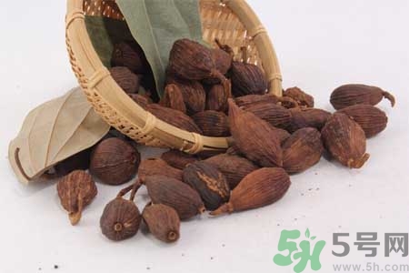 草果是什么？草果的功效與作用