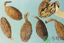 草果是什么？草果的功效與作用