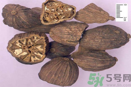草果是什么？草果的功效與作用
