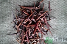 皂角刺的藥用價(jià)值是什么？皂角刺的功效與作用有哪些？