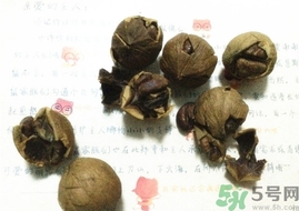 三只松鼠多少錢一袋？三只松鼠價格