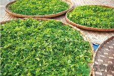 普洱茶怎么保存？茶葉能放冰箱嗎？