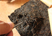 普洱茶怎么保存？茶葉能放冰箱嗎？