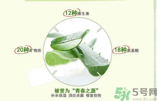 the saem得鮮和自然樂園哪個好？得鮮的蘆薈膠和自然樂園哪個好？