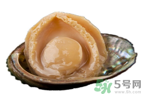 鮑魚如何挑選？鮑魚怎么保存？