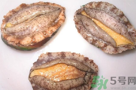 鮑魚的營(yíng)養(yǎng)價(jià)值有哪些？鮑魚的藥用價(jià)值是什么？