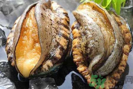 鮑魚的營(yíng)養(yǎng)價(jià)值有哪些？鮑魚的藥用價(jià)值是什么？
