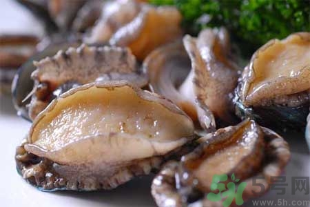 鮑魚的營(yíng)養(yǎng)價(jià)值有哪些？鮑魚的藥用價(jià)值是什么？