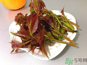 孕婦可以吃香椿嗎？孕婦吃香椿的好處及注意事項