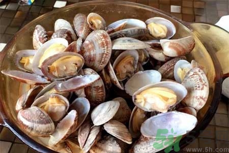 蛤蜊的食用方法有哪些？蛤蜊的營(yíng)養(yǎng)價(jià)值是什么？