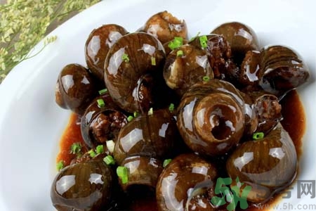 田螺肉怎樣做？田螺的營養(yǎng)價(jià)值有哪些？