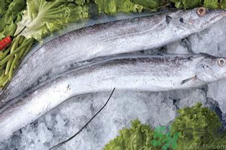 帶魚怎么洗？帶魚如何處理？