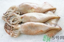 魷魚怎么處理？干魷魚怎么泡發(fā)？