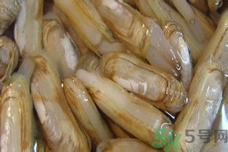 蟶子怎么洗？新鮮蟶子怎么挑選？