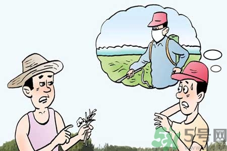 怎么洗掉水果上的農(nóng)藥？農(nóng)藥殘留的危害有哪些？