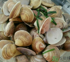 孕婦可以吃文蛤嗎？文蛤的功效與作用