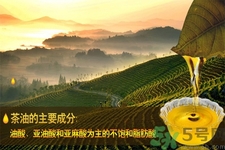 茶油是什么？茶油怎么吃？