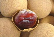干桂圓吃多了會(huì)上火嗎？吃干桂圓上火怎么辦？