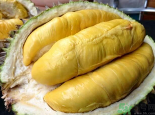 金枕頭榴蓮和普通榴蓮有什么區(qū)別？金枕頭榴蓮怎么挑？