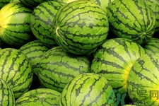 西瓜牛奶可以一起吃嗎？西瓜牛奶怎么做好吃？