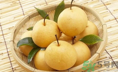 娃娃梨是怎么種出來的？娃娃梨為什么外形像娃娃？