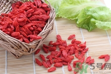 枸杞子泡酒怎么泡？枸杞酒的制作方法是什么？