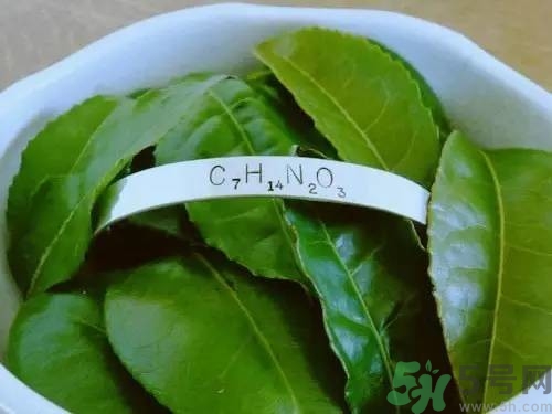 睡眠水為什么可以讓人入睡？可口可樂睡眠水有什么副作用？