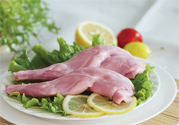 兔肉不能和什么一起吃？什么人不能吃兔肉？