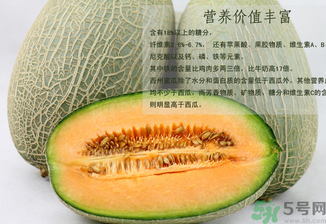 西州蜜瓜怎么吃？西州蜜瓜的食用方法