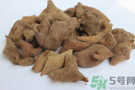 五倍子能治早泄嗎？五倍子的副作用有哪些？
