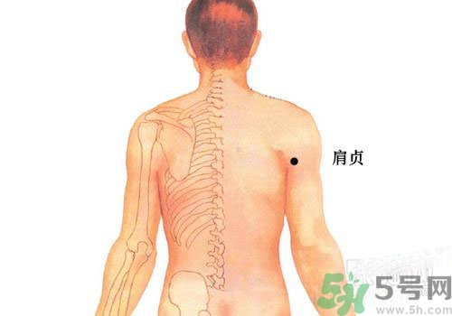 肩周炎艾灸有用嗎？肩周炎艾灸哪些部位？