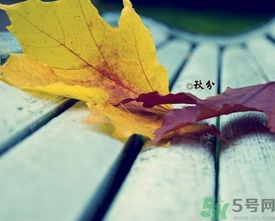 秋分是什么意思？秋分是幾月幾日