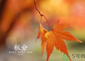 秋分吃什么？秋分吃什么水果？