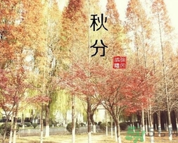 秋分吃什么？秋分吃什么水果？