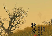 秋分吃什么？秋分吃什么水果？