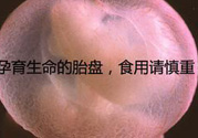 寶寶胎盤(pán)怎么處理比較好？?寶寶胎盤(pán)的功效與作用