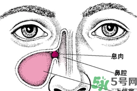 鼻子不通氣是怎么回事？鼻子不通氣怎么辦？