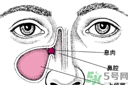 鼻子出血怎么辦？鼻子出血的原因是什么？