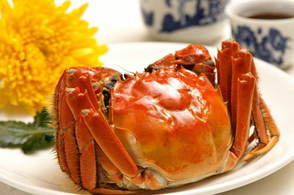 螃蟹什么季節(jié)最好吃？螃蟹幾月份吃最好？