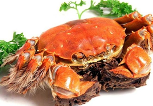 螃蟹什么季節(jié)最好吃？螃蟹幾月份吃最好？