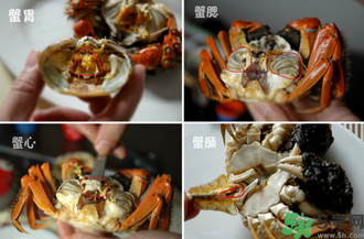 陽(yáng)澄湖大閘蟹怎么吃？食陽(yáng)澄湖大閘蟹注意事項(xiàng)