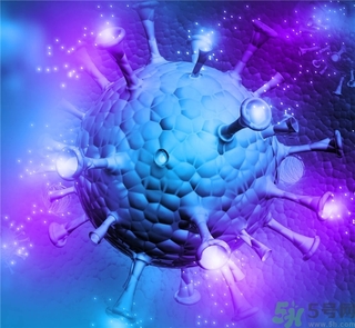 寨卡病毒蚊子如何預防？怎么預防寨卡病毒蚊子？