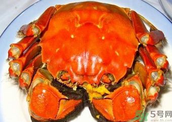 大閘蟹什么季節(jié)吃最好？吃大閘蟹的季節(jié)