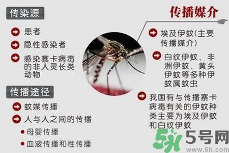 寨卡病毒會死人嗎？寨卡病毒會死嗎？