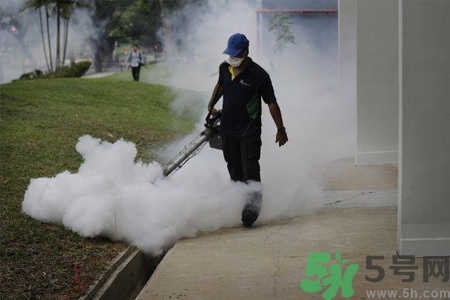 寨卡病毒會死人嗎？寨卡病毒會死嗎？