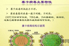 寨卡病毒對孕婦有危害嗎？寨卡病毒對孕婦的危害有哪些？
